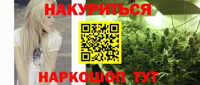 jwh Кингисепп