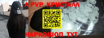 jwh Кингисепп