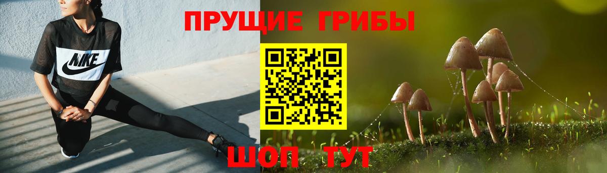 Псилоцибиновые грибы Psilocybine cubensis  Вход с VPN  Галлюциногенные грибы Psilocybe  Щёлково 